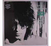 The Waterboys - a pagan place LP