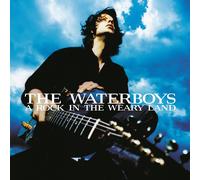 The Waterboys - A Rock IN The Weary Land (2023) 2LP Azul Vinilo Pre-order