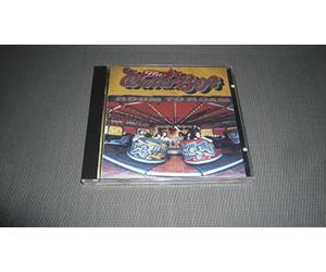 The Waterboys - Room to roam