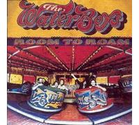 The Waterboys Room to Roam (CD) Album (Importación USA)