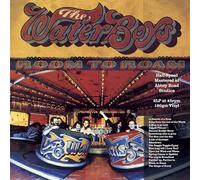 The Waterboys - Room To Roam (Half Speed Master) [Vinilo]