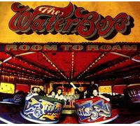 The Waterboys - Room To Roam (Half Speed Master) [Vinilo]
