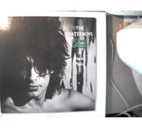The Waterboys: - The Waterboys - A Pagan Place, Erscheinungsjahr 1984 [Vinilo]