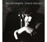 The Waterboys - This Is The Sea