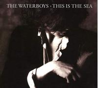 The Waterboys - This Is The Sea