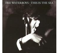 The Waterboys - This Is The Sea (Collectors Edition)