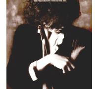 The Waterboys - This Is the Sea [Vinilo]