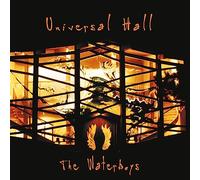 The Waterboys - Universal Hall