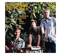 The Wave Pictures - Bamboo Diner In The Rain [Vinilo]