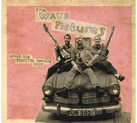 The Wave Pictures - Great Big Flamingo Burning Moon