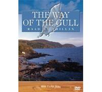 The Way Of The Gull [DVD] [1993] [Reino Unido]