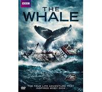 The Whale [USA] [DVD]