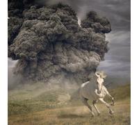 The White Buffalo - Year Of The Dark Horse [Vinilo]