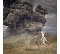 The White Buffalo Year of the Dark Horse (Vinyl) (Importación USA)