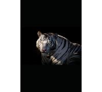 The White Tiger's Resolve | A Journal for Purpose, Focus & Quiet Strength