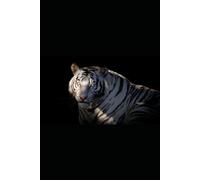 The White Tiger's Resolve | A Journal for Purpose, Focus & Quiet Strength