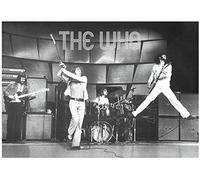 The Who Live on Stage Music Poster Print 33 x 24in by Innerwallz