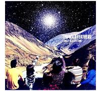 The Wild Feathers - Lonely Is a Lifetime [Vinilo]