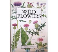 The Wild Flowers of the British Isles