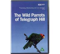 The Wild Parrots Of Telegraph Hill [2003] [DVD] [Reino Unido]