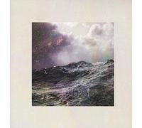 The Wild Wild - Into The Sea, Into The Stars [Vinilo]