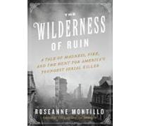 The Wilderness Of Ruin (ebook)
