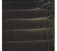 The Wildhearts - If Life Is Like A Love Bank