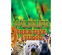 The Wildlife Creative Studio (PC) Steam Key GLOBAL