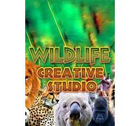 The Wildlife Creative Studio Steam Key EUROPE