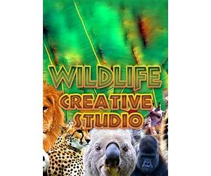 The Wildlife Creative Studio Steam Key EUROPE