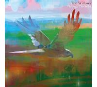 The Willows - Through The Wild