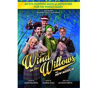The Wind in the Willows: The New Musical [USA] [DVD]