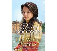 The Winter Promise: A perfect cosy Victorian saga from the Sunday Times bestselling author (Precious Stones)
