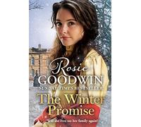 The Winter Promise: A perfect cosy Victorian saga from the Sunday Times bestselling author (Precious Stones)