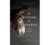 The Wisdom of Donkeys: Finding Tranquility in a Chaotic World