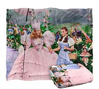 THE WIZARD OF OZ Stanley Desantis Vintage Dorothy and Glinda Silky Touch Super Soft Throw Blanket 152 x 127 cm