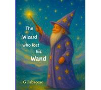 The Wizard who lost his Wand