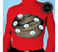 The wombats - Beautiful People Will Ruin Your Life