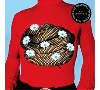 The wombats - Beautiful People Will Ruin Your Life