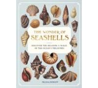 The Wonder Of Seashells