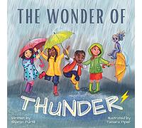 The Wonder Of Thunder: Lessons From A Thunderstorm