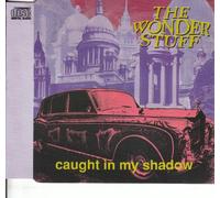 The Wonder Stuff - Caught in My Shadow