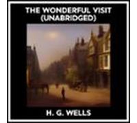 The Wonderful Visit (unabridged) (audiolibro)