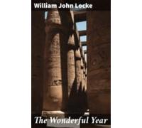 The Wonderful Year (ebook)