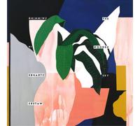 The Wooden Sky - Swimming In Strange Waters [VINYL] [Vinilo]