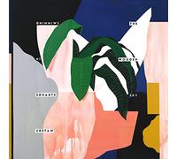 The Wooden Sky - Swimming In Strange Waters [VINYL] [Vinilo]