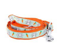 The Worthy Dog Bunnies and Zanahorias Kawaii Designer Pet Dog Correa de nailon resistente y cómoda para perros pequeños, medianos y grandes, color verde menta