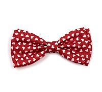 The Worthy Dog Pajarita, poliéster, Rosso, Small