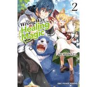 The Wrong Way to Use Healing Magic Volume 2: Light Novel (The Wrong Way to Use Healing Magic Series: Light Novel)