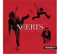 The XCERTS - Hold On To Your Heart